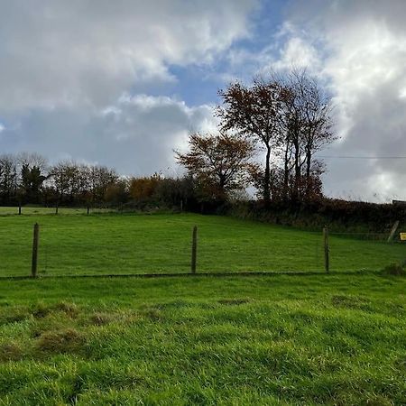 BittadonWoodland View At Hewish Mill别墅 外观 照片
